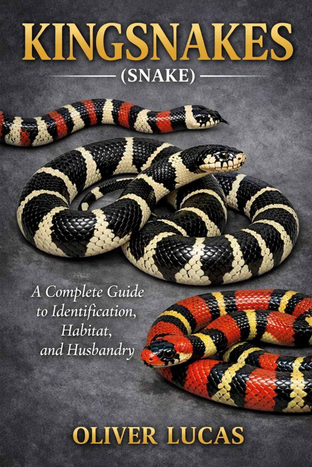 KINGSNAKES ( SNAKE ): A Complete Guide to Identification, Habitat, and Husbandry