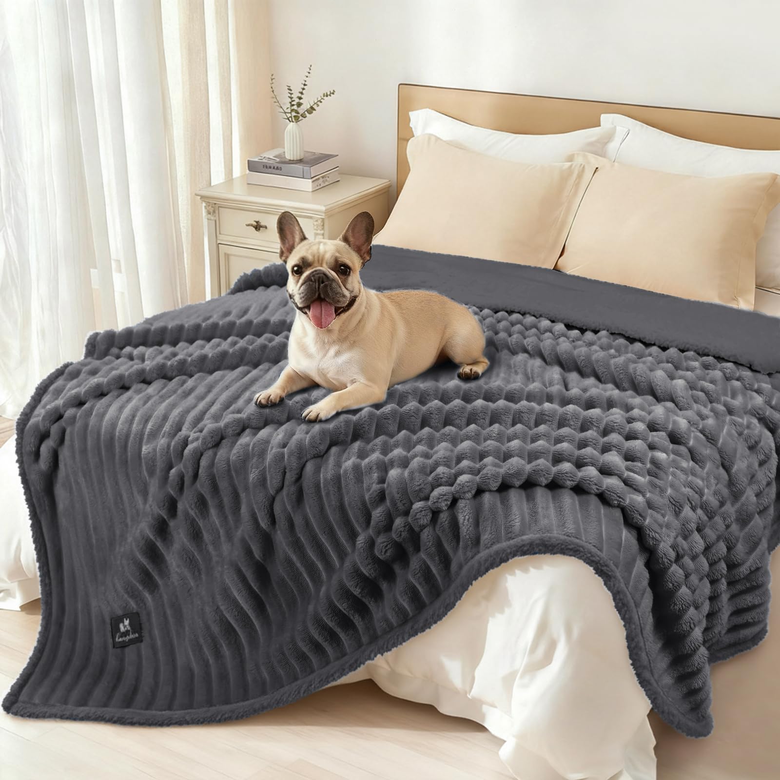 luciphia Waterproof Dog Blanket, Washable, Cat Blanket for Cats, Dogs, Puppies, Cuddly Blanket, Soft Fluffy Sherpa Fleece, Pet Blanket to Protect Bed, Sofa, Couch, Dark Grey, 145 x 216 cm