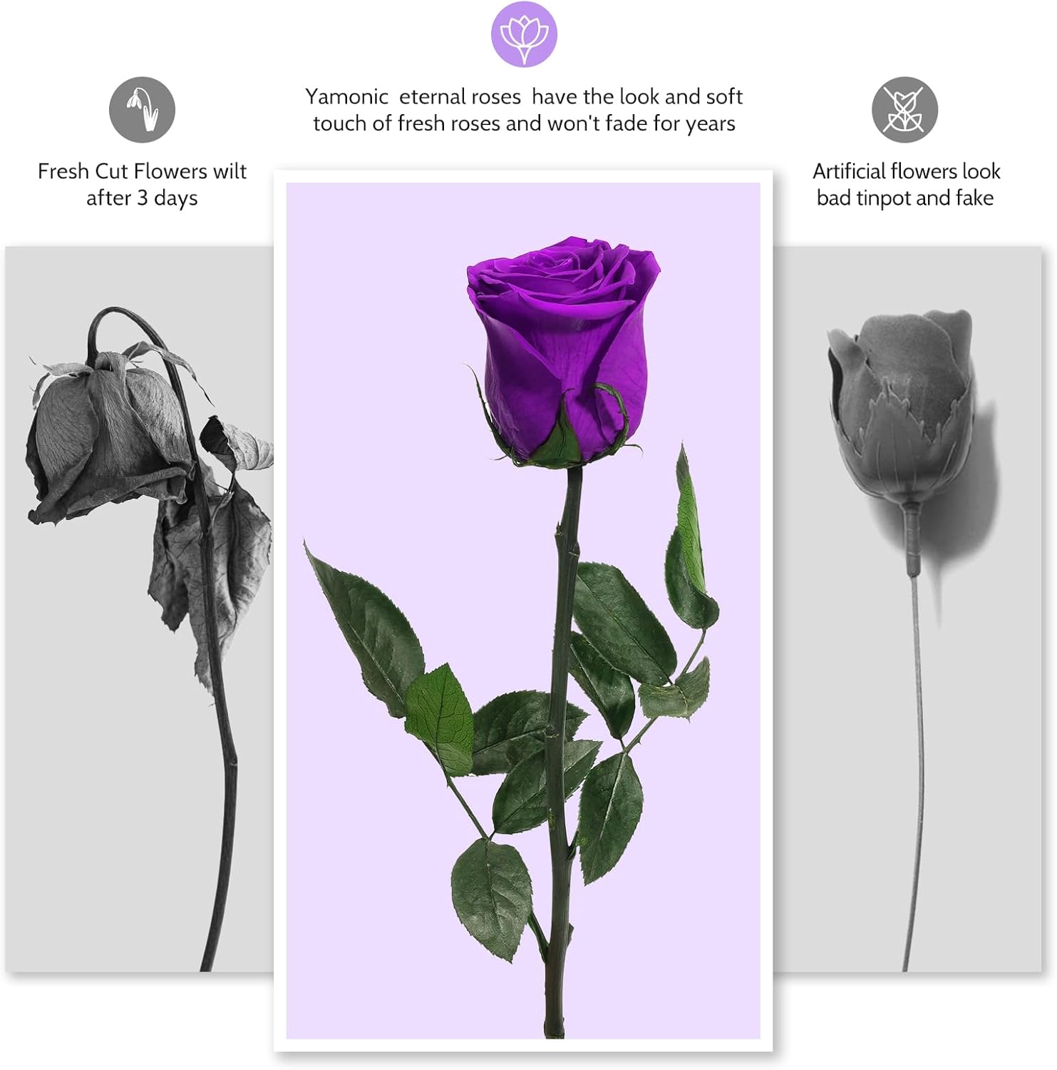 Yamonic Preserved Flowers Rose for Mom Grandma, Mom Birthday Rose Gifts for Mother, Real Flower Rose for Women, Her, Wife, Girlfriend Gifts on Valentine's Day, Mothers Day,Anniversary