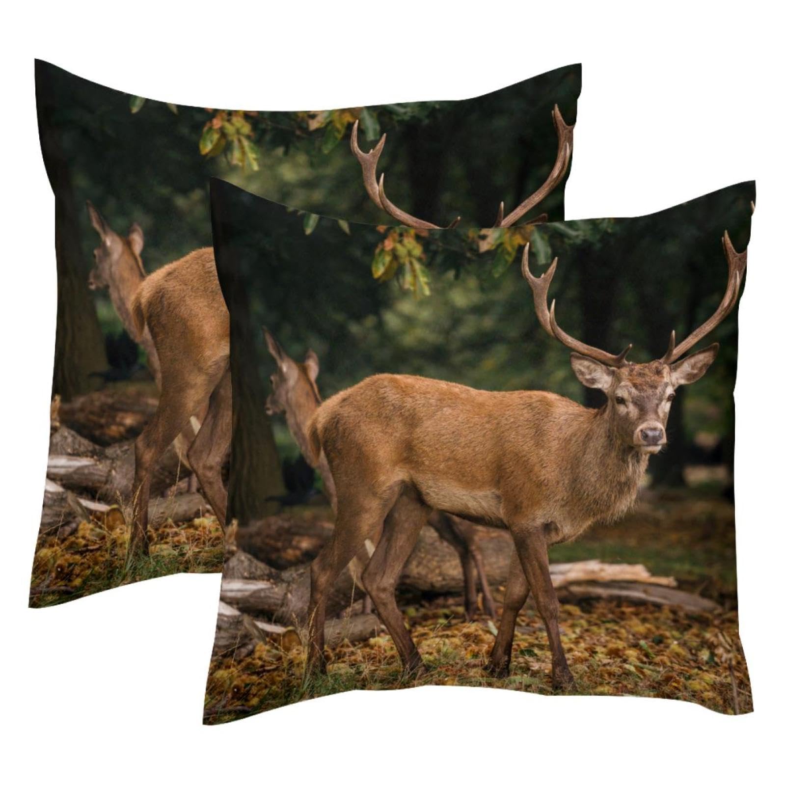 Housses de coussin en velours motif cerf 50x50 cm pour salon cocooning