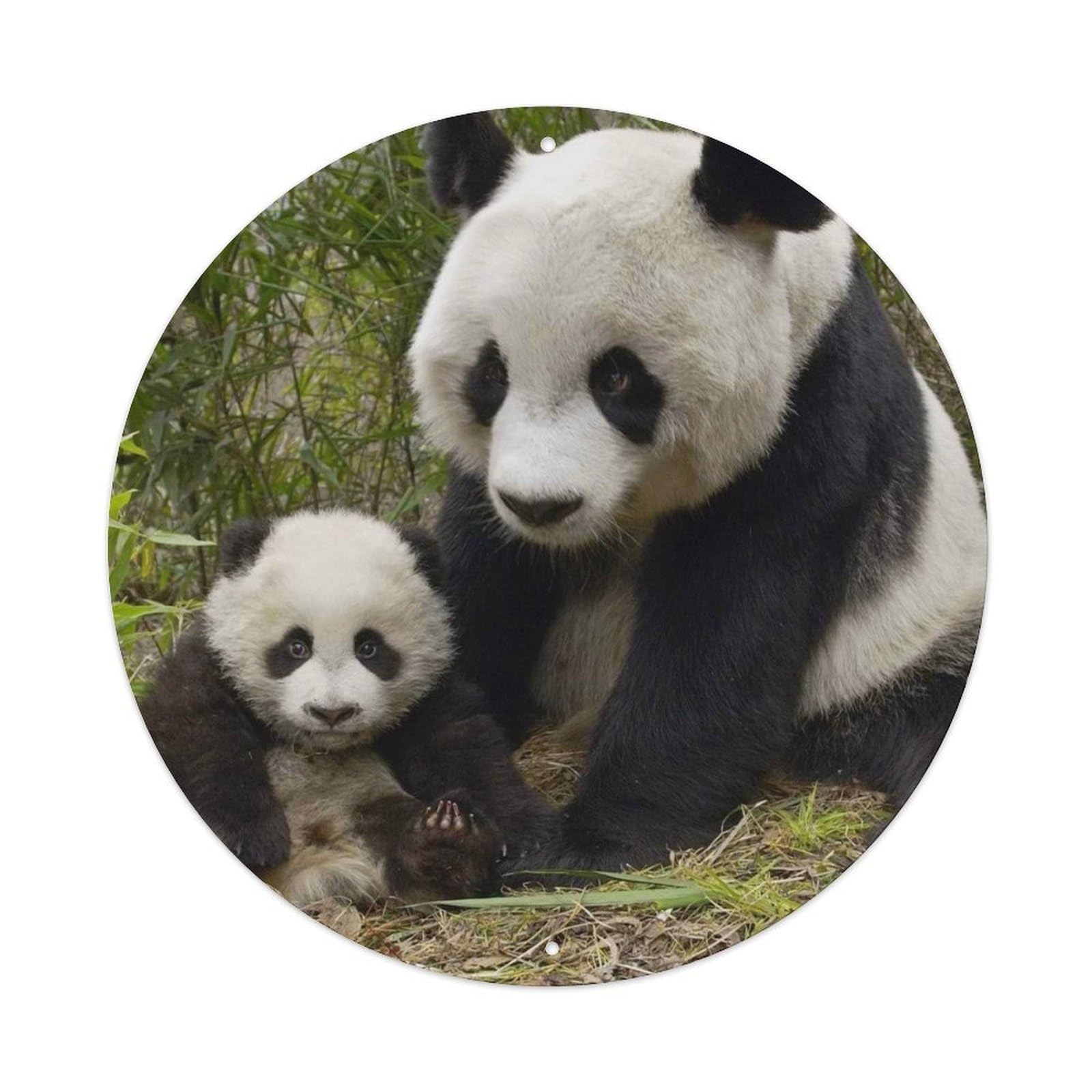 Giant Panda Mother Cub Wildlife Bamboo Nature Metal Tin Sign