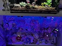 Review Image by Lorena