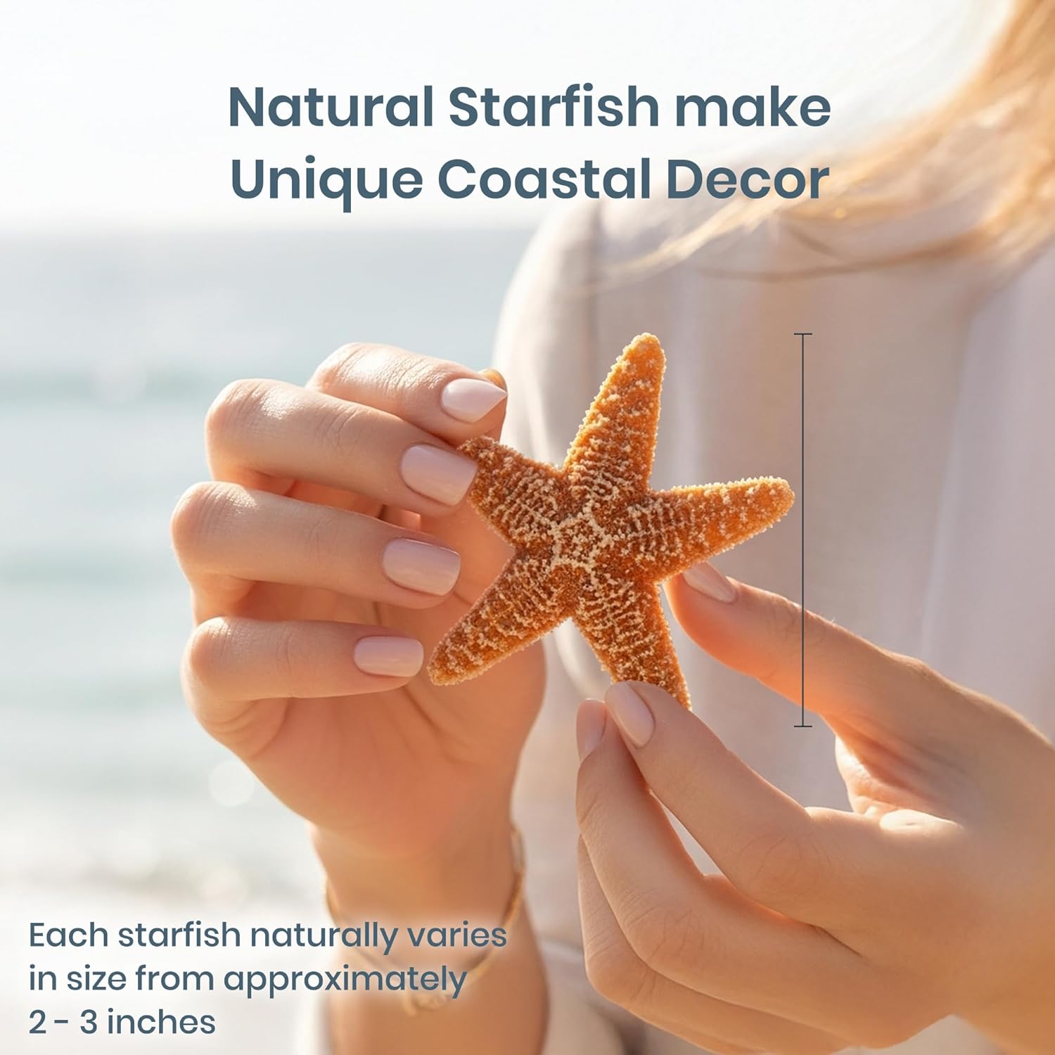Real Starfish - 12 Brown Sugar Starfish (2-3in) - Starfish for Crafts - Star Fish Shells Decorations - Starfish Decor - Sea Star - Starfish Decorations - Starfish Shells