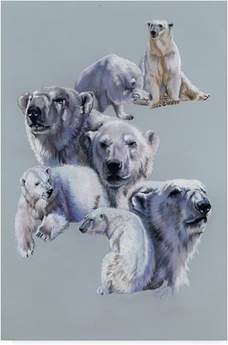 Lienzo artístico de Barbara Keith 'Arctic King'