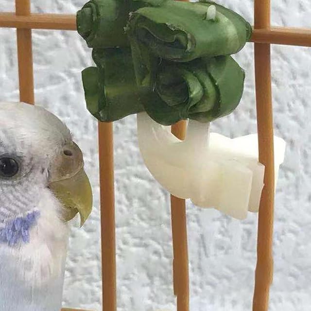 Foto 3 de 8 de Porta comida para pájaros, tenedor de fruta para loros