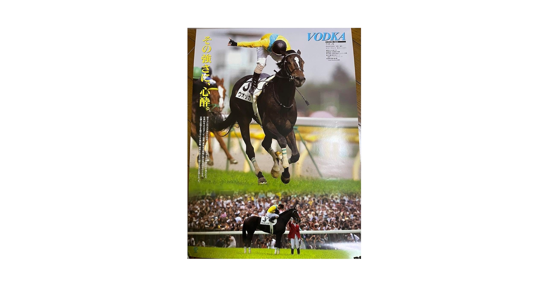 k*様 ウオッカ・アドマイヤムーン 競馬ポスターセット k*様 ウオッカ・アドマイヤムーン 競馬ポスターセット 2025年