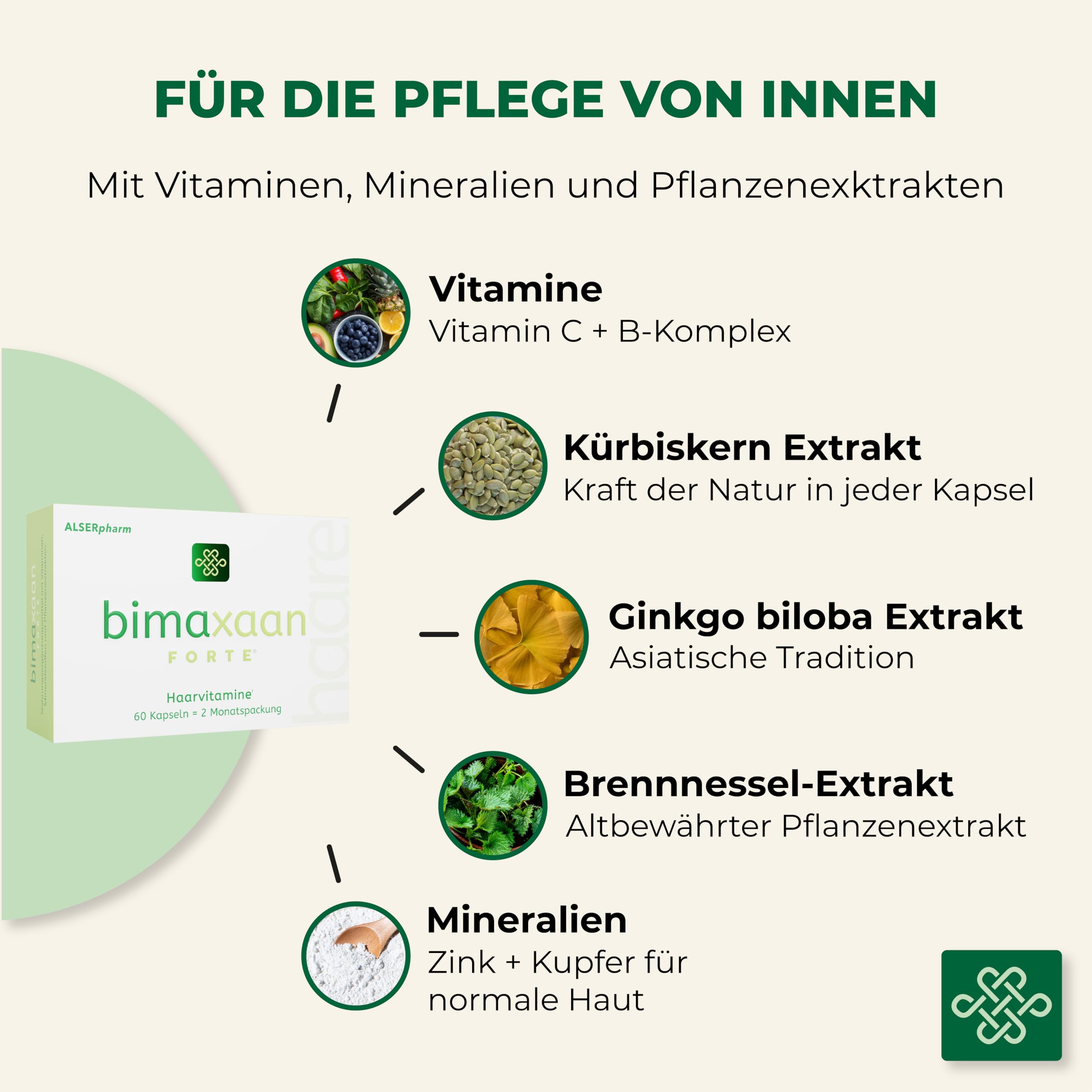 forte Haarvitamine (2 Monatspackung) • Für Frauen und Männer • Zum Erhalt der normalen Haare mit Brennnessel-, Kürbiskern-, Ginkgo Biloba-Extrakt sowie B-Vitaminen, Zink, Niacin, Biotin