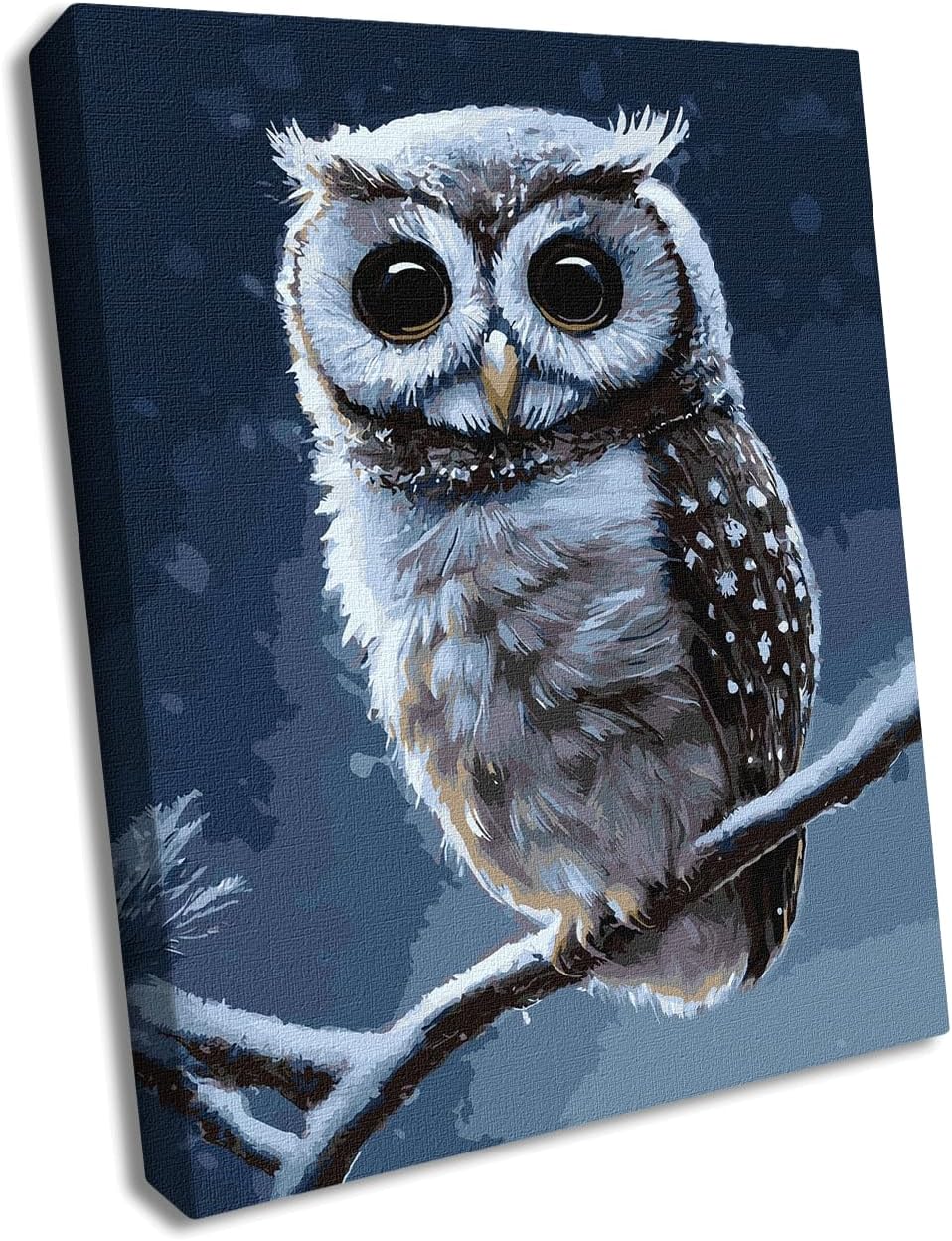 Wizardi Painting by Numbers on a Stretcher kit - Forest owl KHO4457 Ideyka