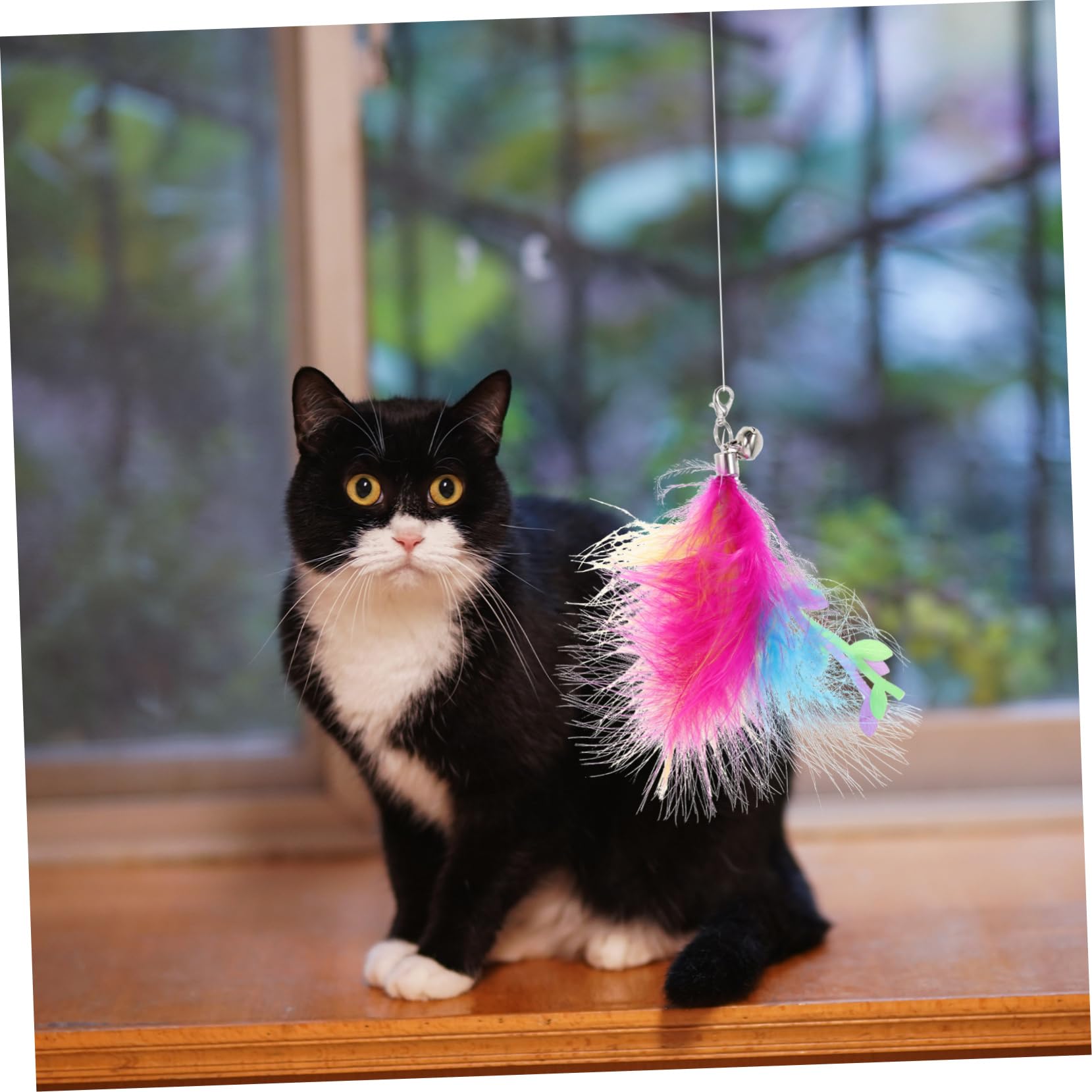 VANZACK 30stücke Katzenangel Ersatzteile Teiliges Für Innenkatzen Interaktives Spielzeug Für Katzen Fördert Bewegung Und Spielvergnügen