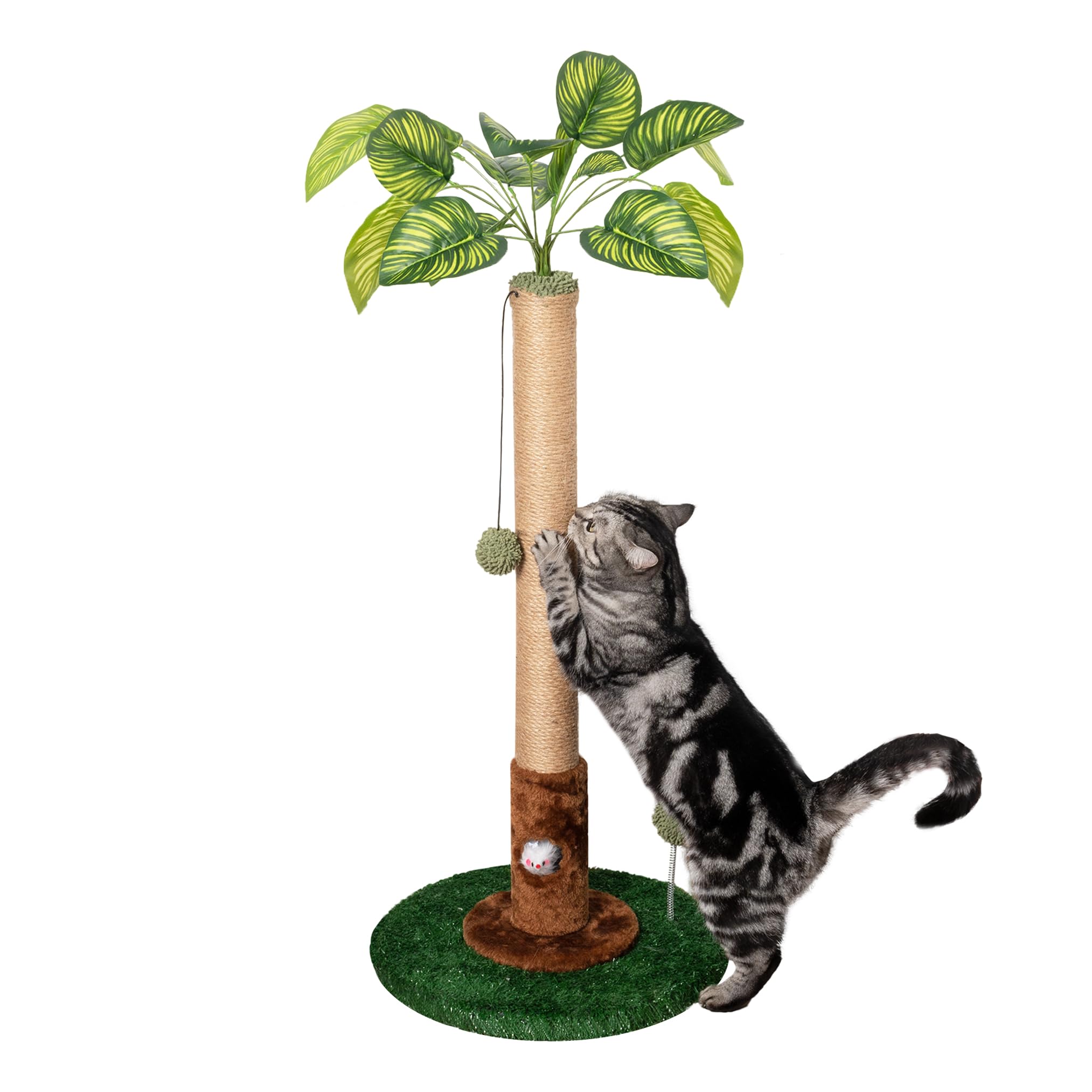 Meowoou Tiragraffi per Gatti Alto 81 cm con Corda in Sisal per Gatti da Appartamento, bel Tiragraffi Verde con Giocattolo Incorporato per Gattini