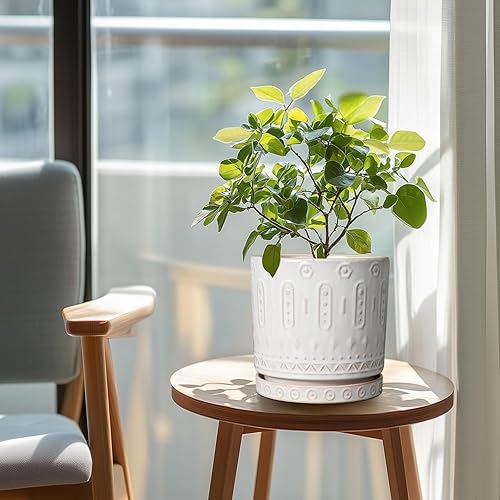 Miniatura 2 de Maceta de cerámica para plantas de interior  Maceta de 8 pulgadas para exteriores con agujeros de drenaje y platillo, maceta redonda moderna para