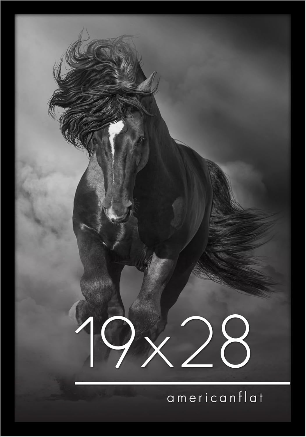 Americanflat 19x28 Poster Frame with Polished Plexiglass - Epic Collection - Gallery Wall Frames with Engineered Wood - Wide Photo Frame for Wall Display - Black Black 19x28