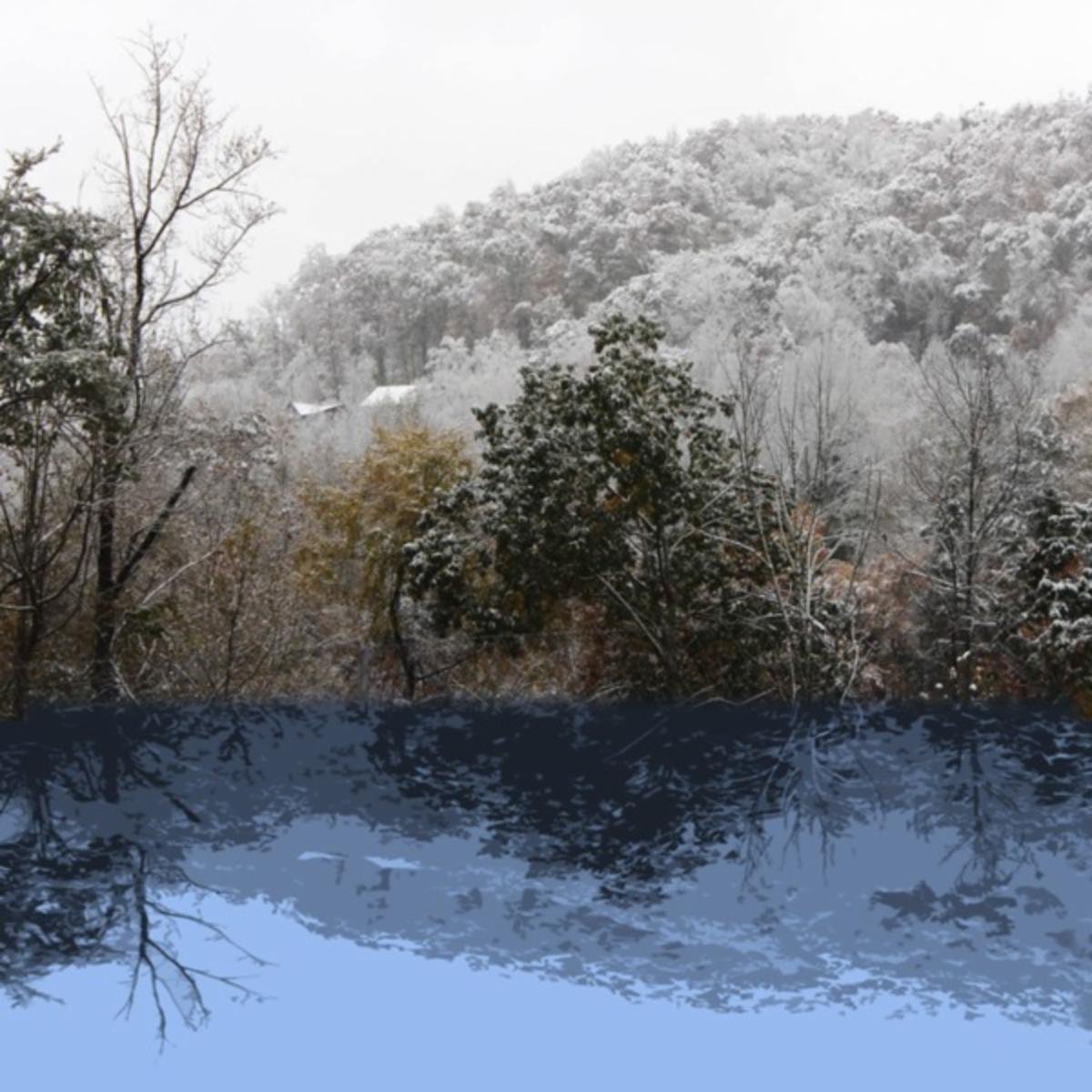 Шум и Пушистый Хаос