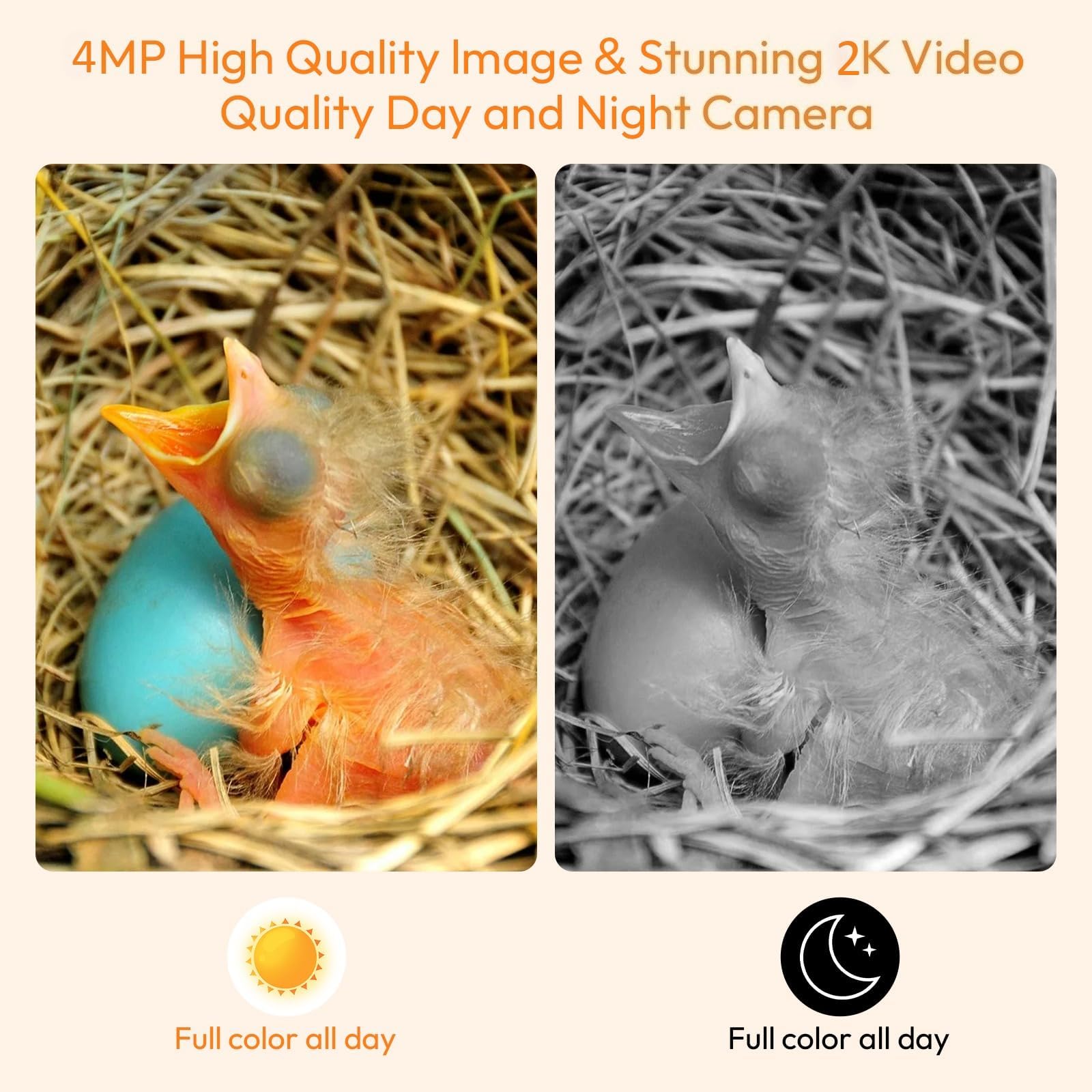 Nistkasten mit 4MP Kamera WLAN, Bunte Vogelhaus für Draußen Wetterfest, 2,4 G WiFi & App Benachrichtigung, Video/Fotoaufnahme & Bewegungserkennung, Beobachten Sie das Nisten und Schlüpfen, Nachtsicht