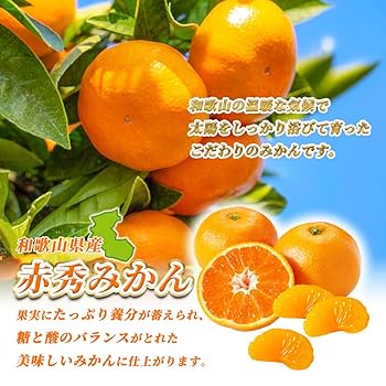 和歌山県紀南産　露茜5㎏ 秀-優品　3L-4L 和歌山県紀南産 露茜5㎏ 3L-2L 秀-優品 - メルカリ