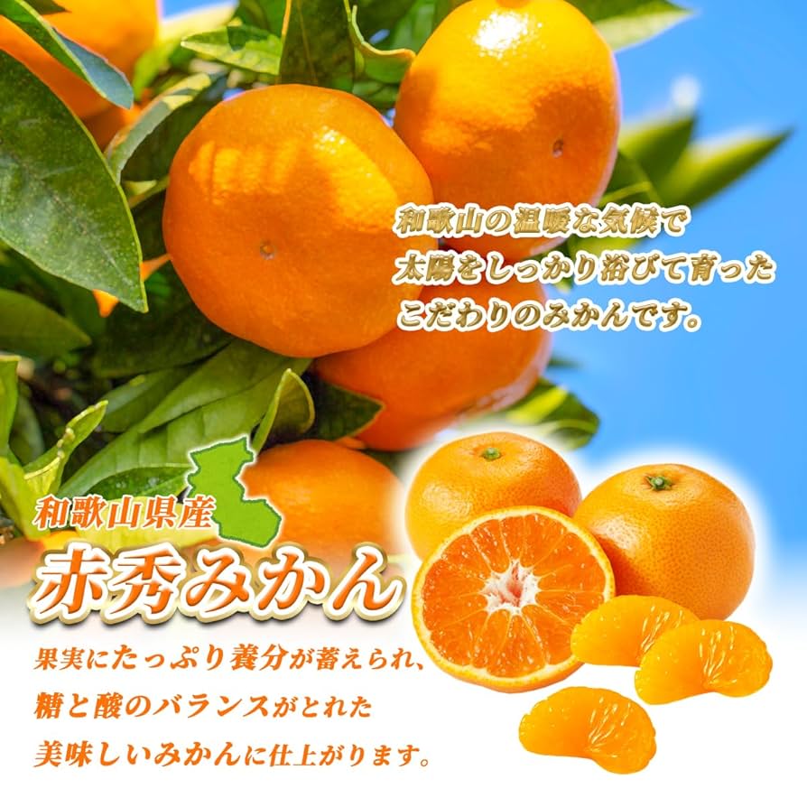 kei　和歌山県産ゆら早生みかん　赤秀2S5kg 、赤秀S5kg 楽天市場】ゆら 早生みかんの通販