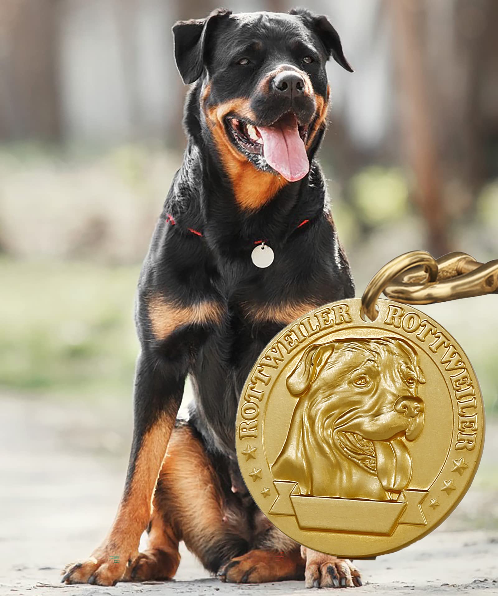 ZQDJ Retro Pure Copper Dog Tag Three Dimensional Embossed Pet Pattern Dog Tags Personalized for Pets Engraved Name ID Tags (Rottweiler)