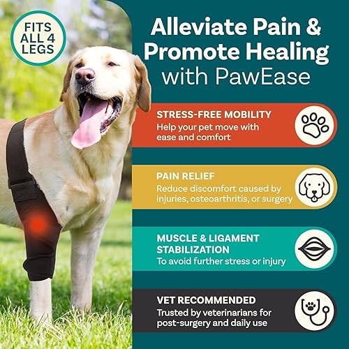 Miniatura 2 de Rodillera de perro para pierna trasera de acl desgarrado, soporte para piernas de perro para pierna trasera, tamaño grande, soporte para acl de