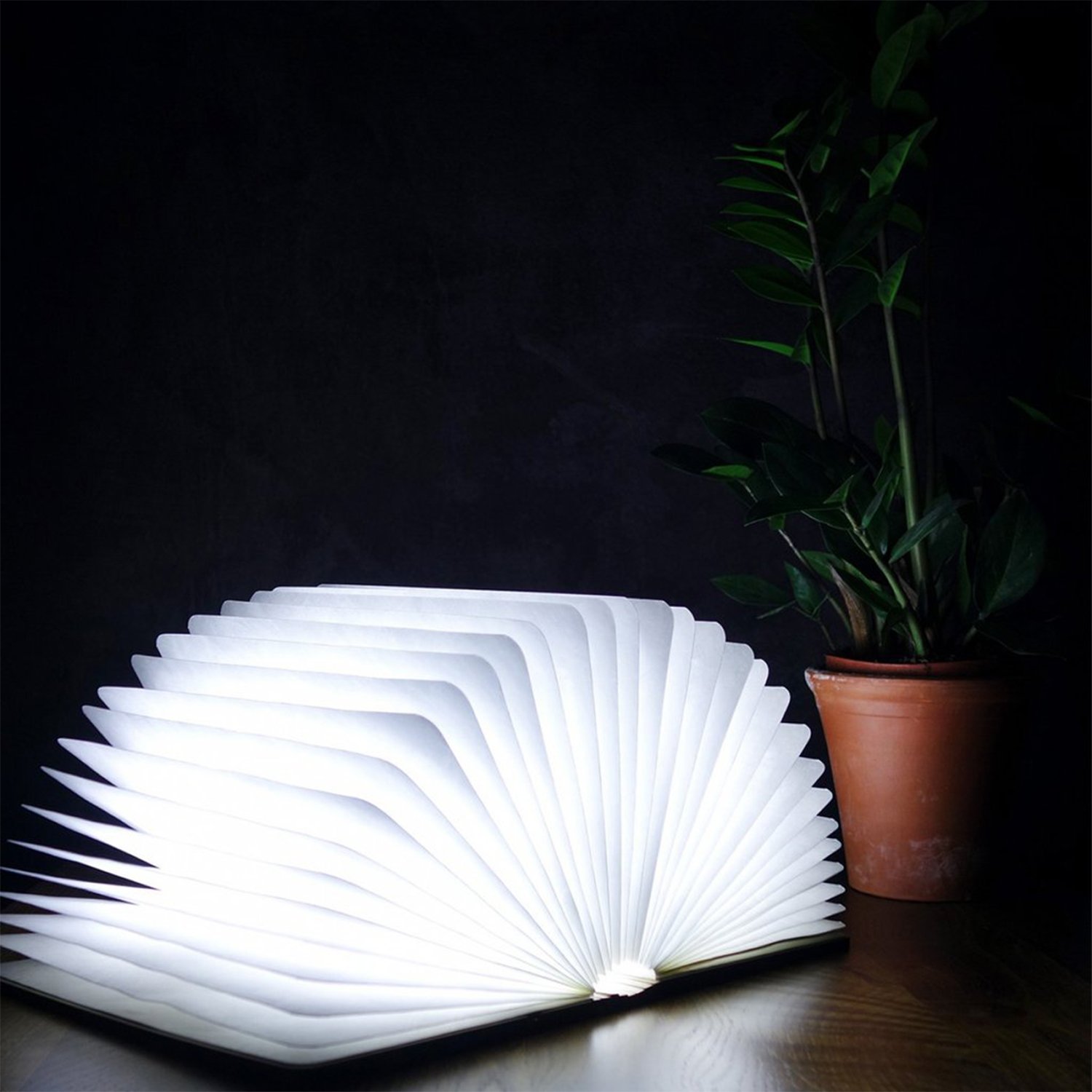 Gingko LED-Smartbook-Schreibtischleuchte mit natürlicher Holzoptik, wiederaufladbar mit Micro-USB-Ladegerät, Ahorn