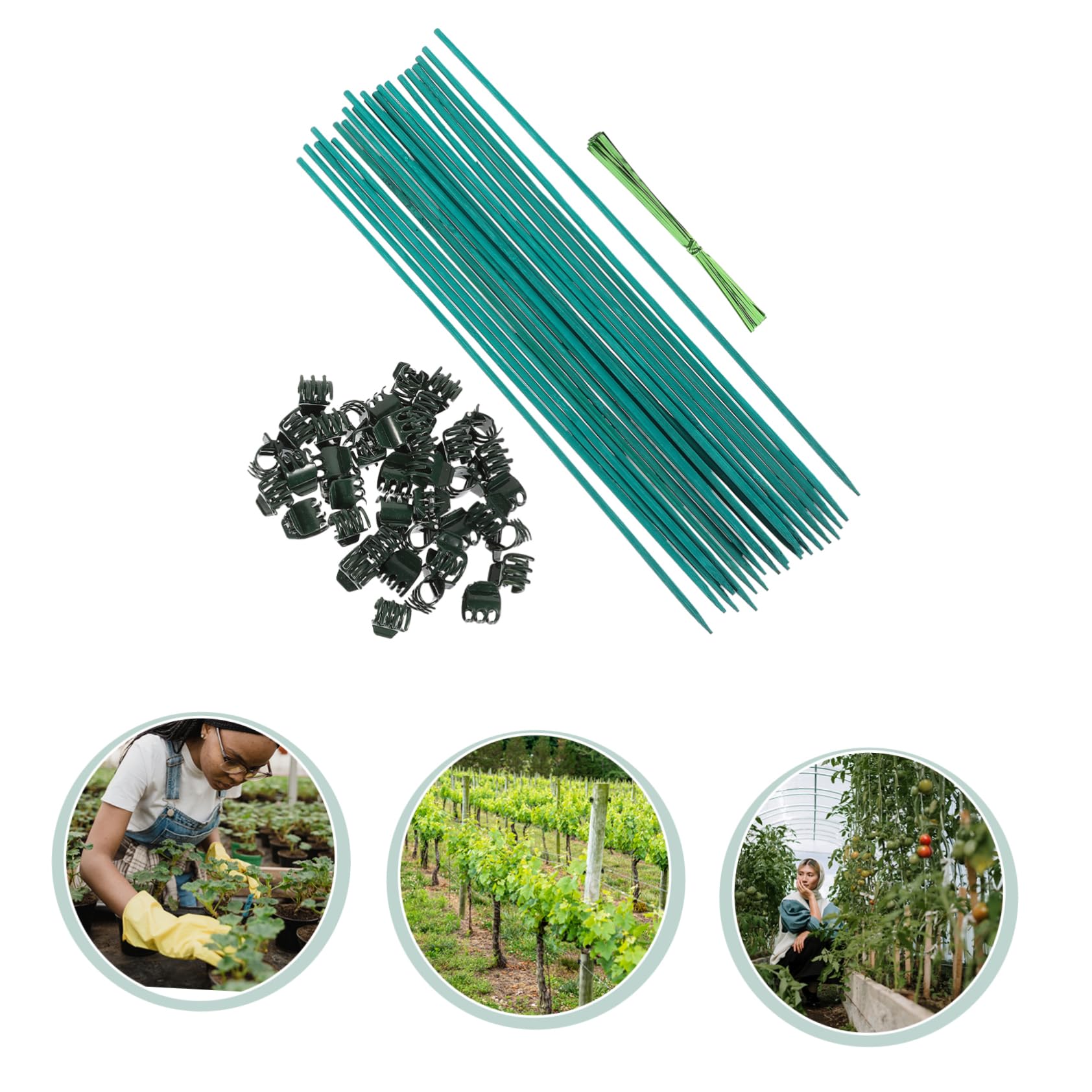 BESPORTBLE 5 Ensembles Pinces à Plantes pour Plantes grimpantes Jardins Pot Liens métalliques Outils Jardinage kit Jardinage la Fleur supporte Les Tuteurs Outils d'aide à la Plante Plastique