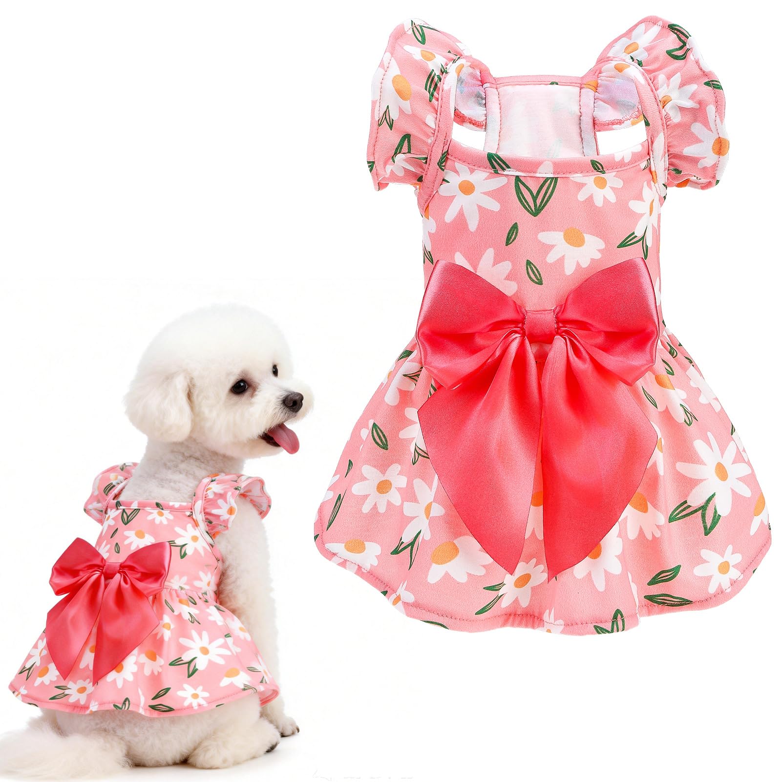 EXPAWLORER Floral Dog Dress