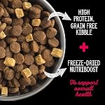 Nutrience Grain Free Subzero Dog Food, 10 kg (22 lbs), Canadian Prairie Red Formula, Dry Dog Food, High Protein Kibble, Nourriture Pour Chien, Manger Pour Chien