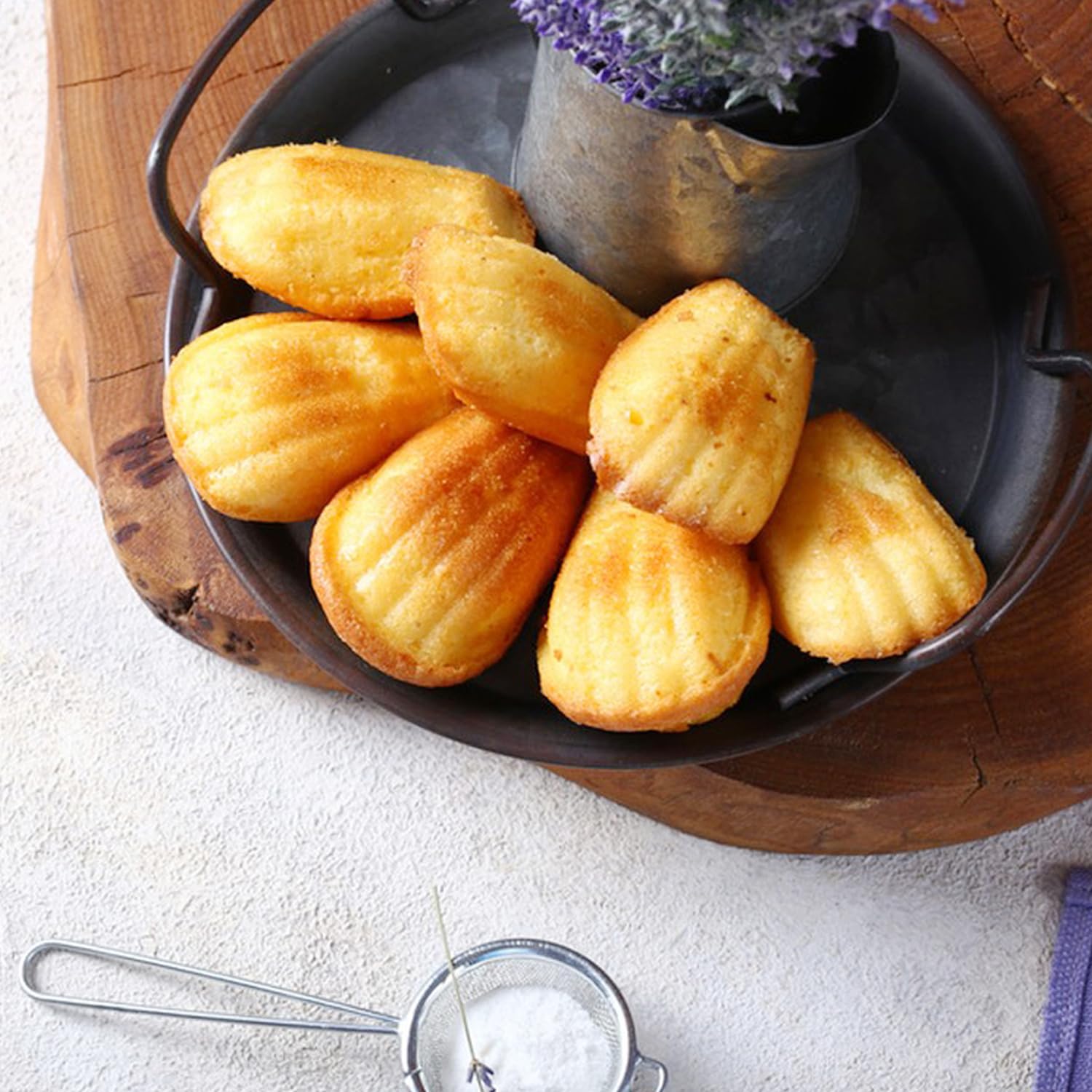 Madeleine Backform Set - 2x12 Mulden Mit Antihaft-Beschichtung & Silikonpinsel (Carbonstahl)