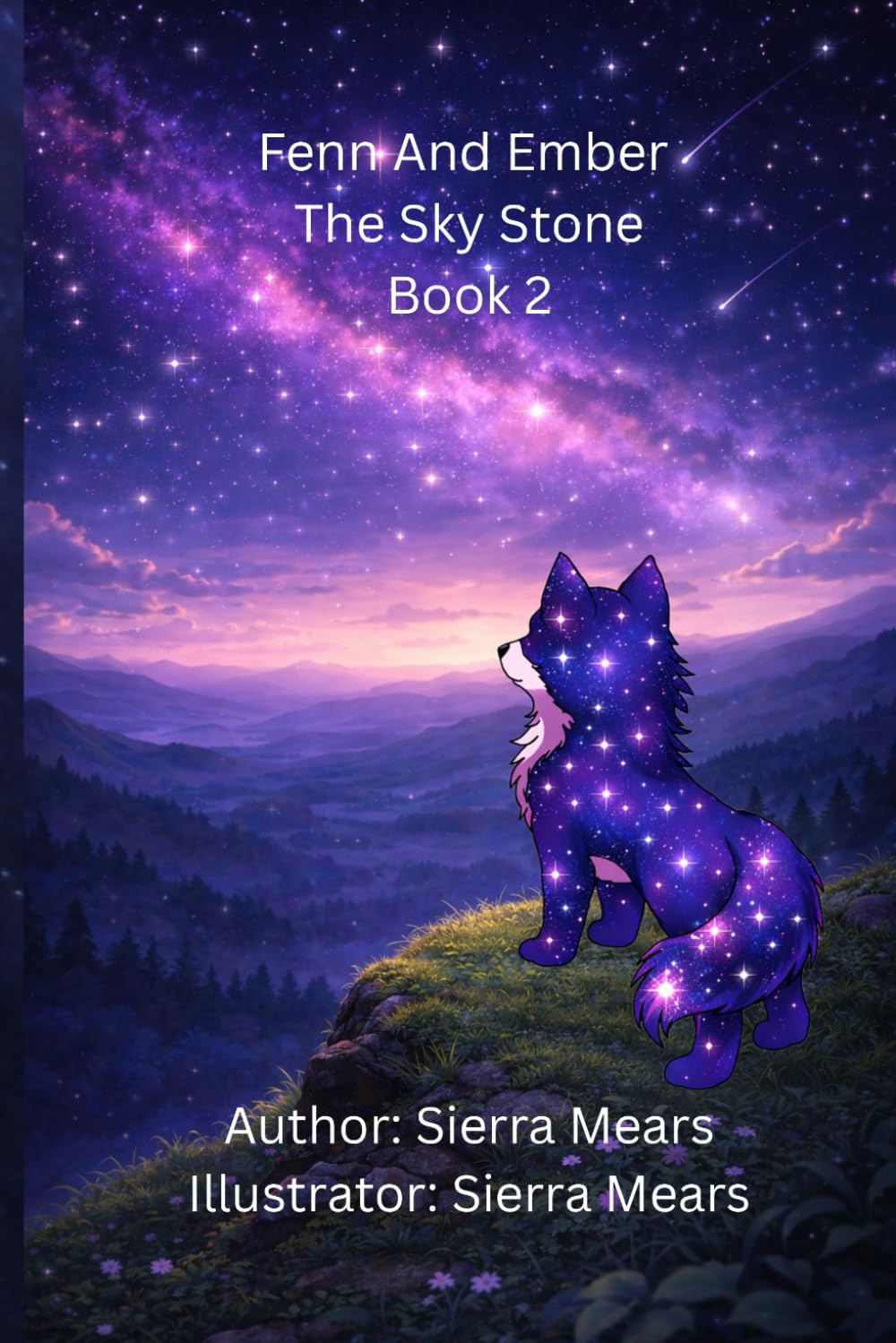 Fenn And Ember The Sky Stone: Book 2 (Fenn And Ember Series)