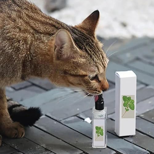 Miniatura 2 de Kitty Joy Herbal Cat Joy, Spray de hierbas para gatos, spray de hierba gatera para mascotas, spray de hierba gatera para gatos de interior, spray