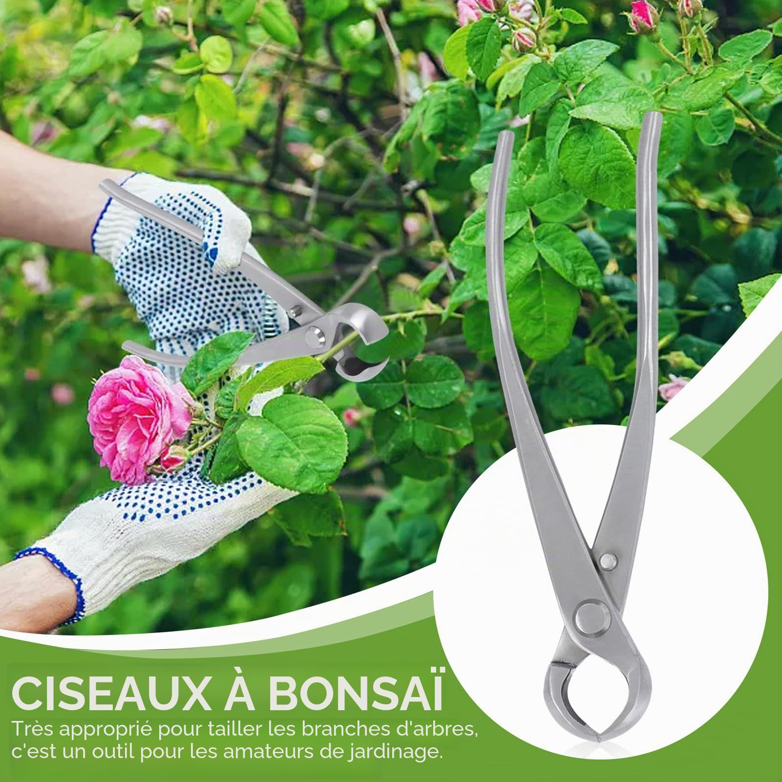 Ciseaux Bonsai, Coupe-bonsaï concave, Main Bonsaïs Cutter Branche Cutter,Coupe-branches Cisaille de Jardin Outils Bonsai, Acier Inoxydable, 180mm