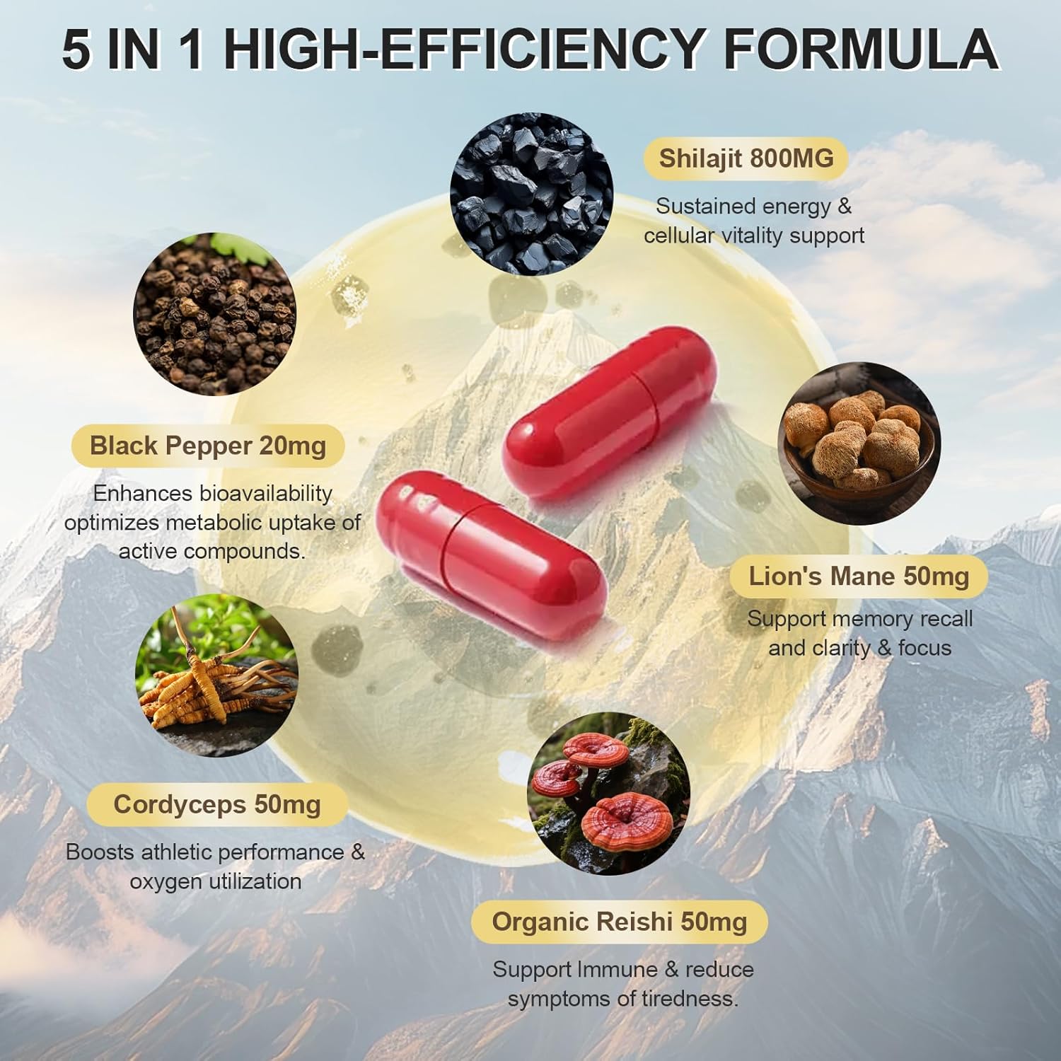 DR.YES Himalayan Shilajit Capsules for Men & Women, Support Energy & Immune, Vegan, Non-GMO, 90 Capsules - Image 3