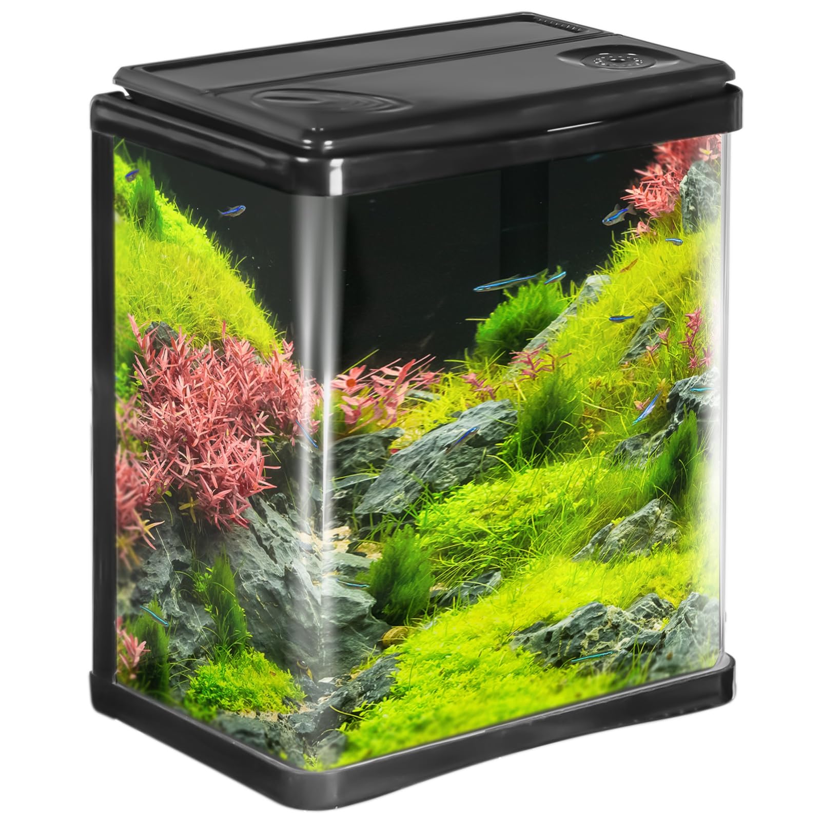 Arona – Elegante Juego de Acuario de 3 litros en Negro – Juego Completo con Filtro, iluminación LED y Cubierta – Ideal para Principiantes, Oficina y hogar