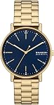 Skagen Signatur Montre en acier inoxydable et cuir analogique Quartz pour homme