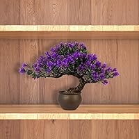 Vista 7 de Árbol bonsái de enebro artificial para decorar interiores para casa u oficina