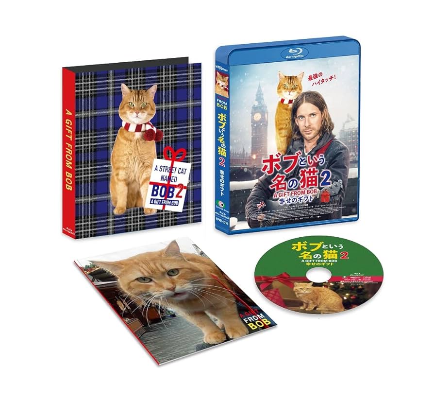 猫の寅さん　専用 猫の寅 猫の寅さん 専用 猫の寅さん専用 猫の寅さん専用 ZX-