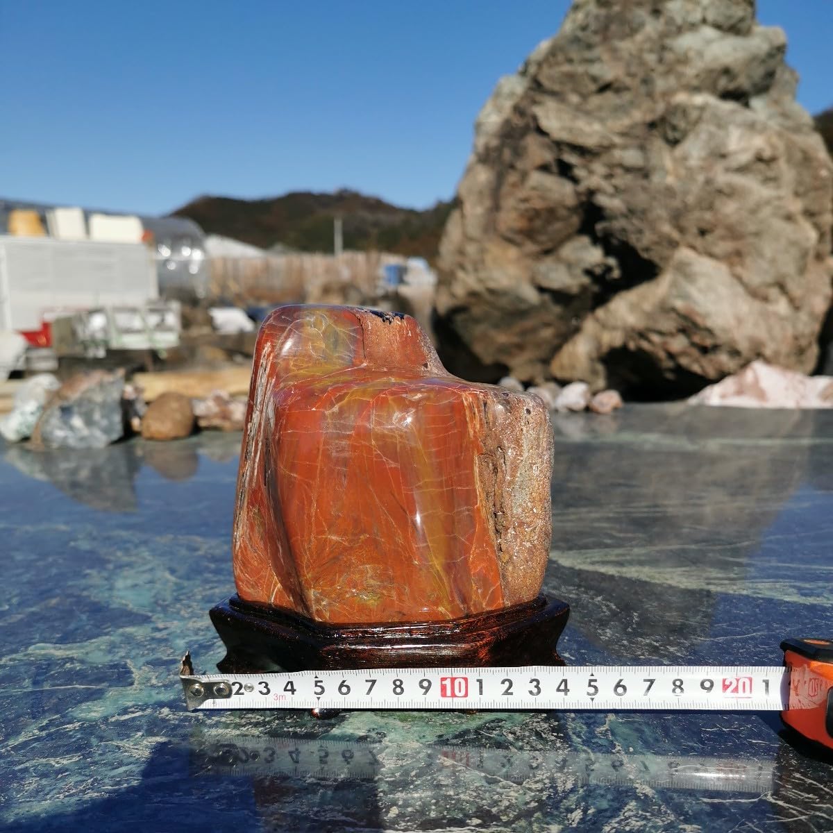 アリゾナ産 珪化木 木化石 鑑賞石 原石 化石 置物 オブジェ インテリア