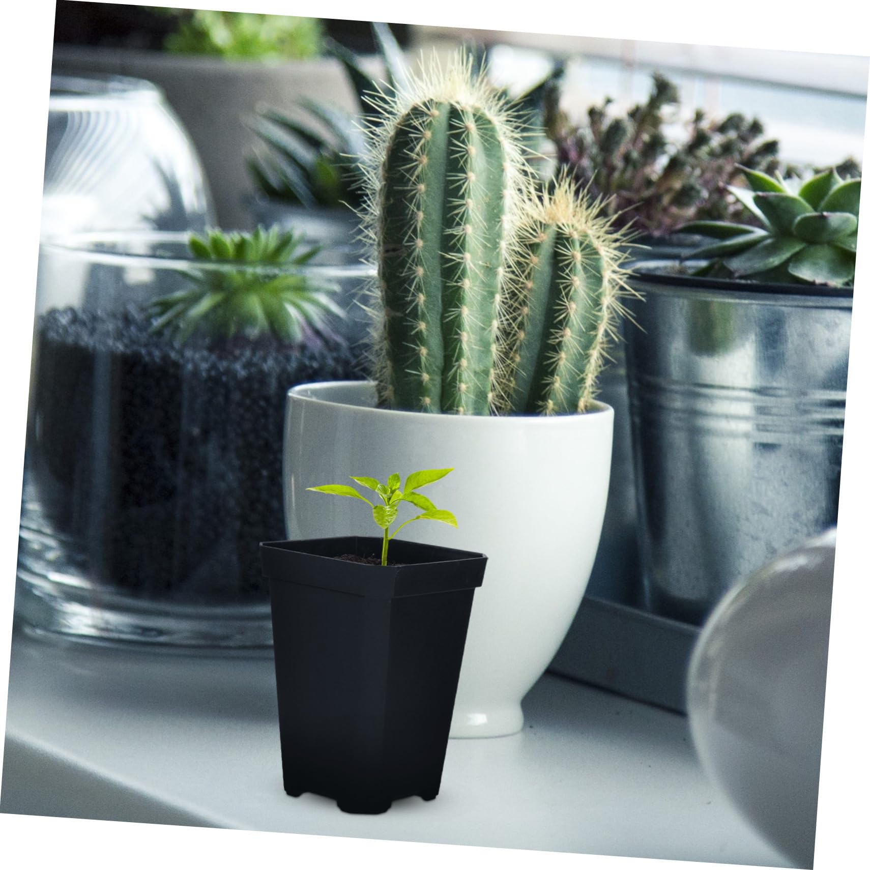 Abaodam 2 Set Vasi per Piantine per Giardinaggio Vasi per Semina e Piante con Finestrature Drenaggio