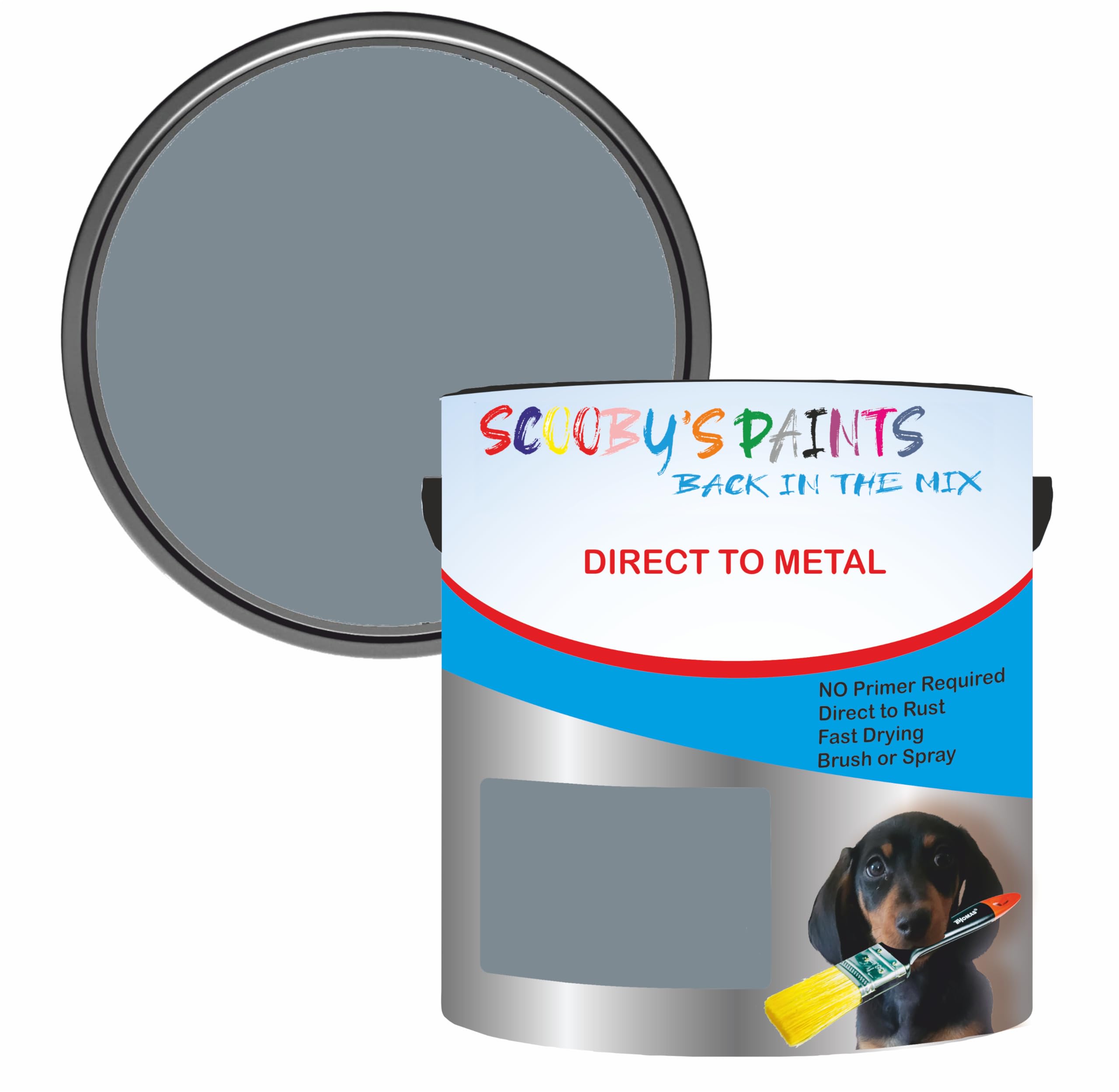 Scooby's Paints Direct to Metal Paint, Grey, 250ml, No Primer Required, Fast Drying (Ral7000 Squirrel Grey)