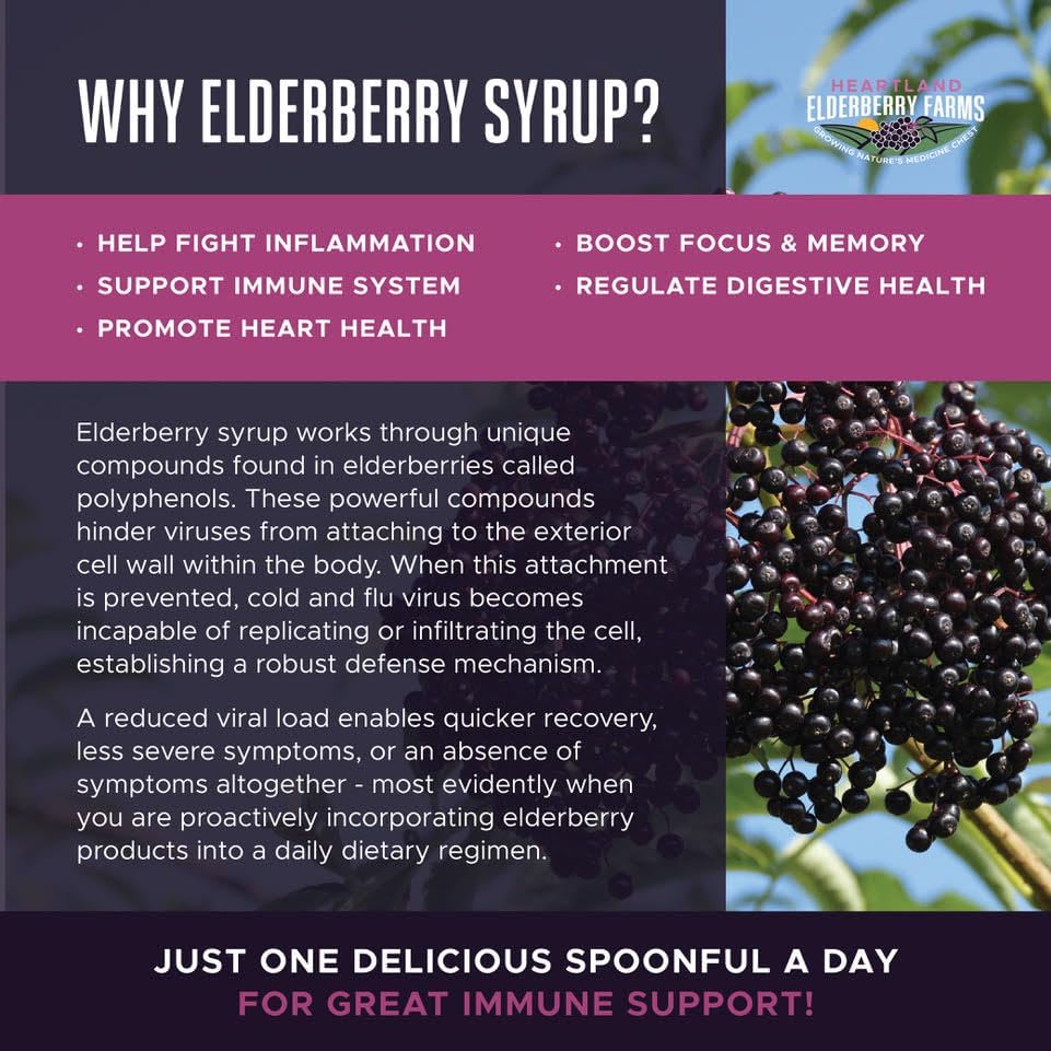 Heartland Organic Elderberry Syrup - Cold Pressed Elderberry Juice, Zero Water Added - Immune Support for Kids & Adults - Made with Raw Honey, Ginger, Cinnamon & Star Anise - 26 fl oz (750 ml) - Image 3