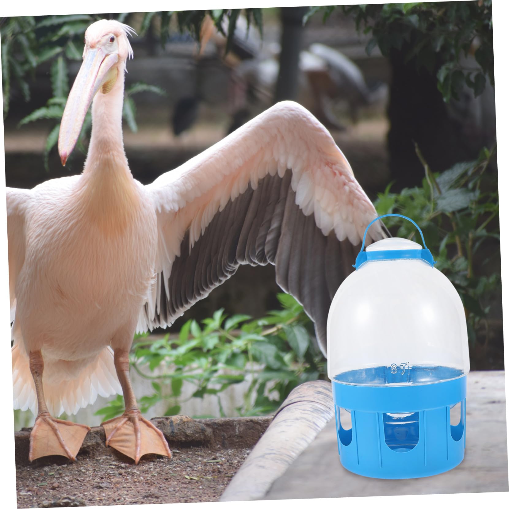 VILLCASE Robuster Taubenwasserspender aus PVC mit Großem Fassungsvermögen Blau Leicht zu Reinigen Wassertränke für Vögel im Haushalt