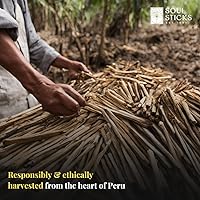 Vista 3 de Ancient VEDA Varillas de palo santo peruano 6 piezas con guía de sahumado – Alto contenido de resina, madera santa aromática de olor dulce