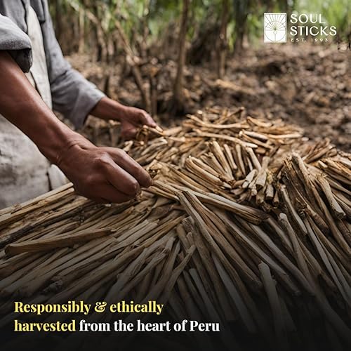 Miniatura 3 de Ancient VEDA Peruvian Palo Santo Sticks 6 Pack con guía de manchas Alto contenido de resina, aroma dulce madera santa para manchas, meditación,