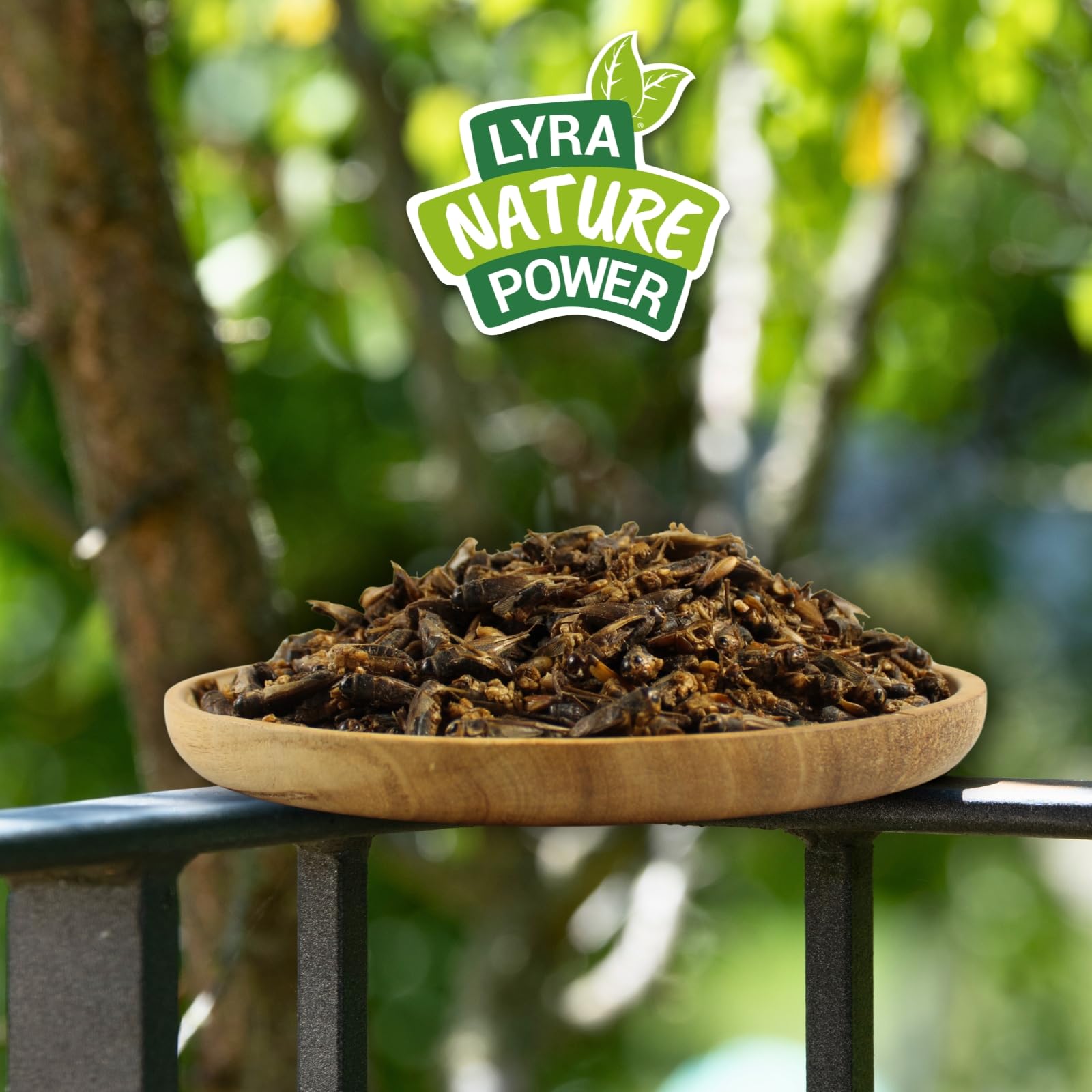 Lyra Pet® 10 kg Heimchen getrocknet Vogelfutter Wildvögel Nager Reptilien | Reich an Proteinen & Mineralien - Nährstoffreiche Ergänzung zum Hauptfutter - Idealer Energiespender - Natürliches Futter