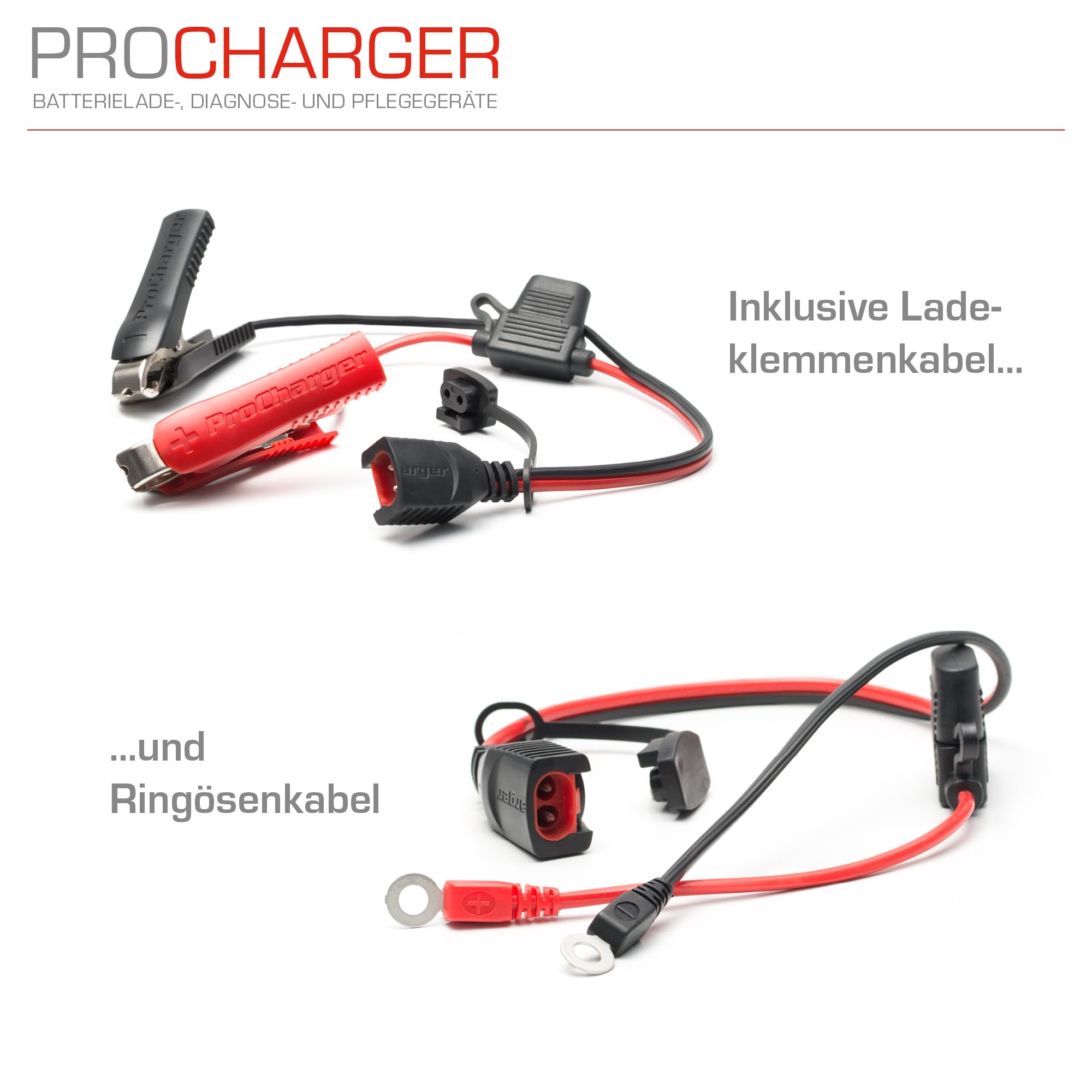 ProCharger 4.000 Diagnose- & Ladegerät Motorradbatterie & Auto, CAN Bus Fähig, Lithium Geeignet, Batterie Erhaltungsladegerät 12V 4.000mA, Automatische Ladestromanpassung