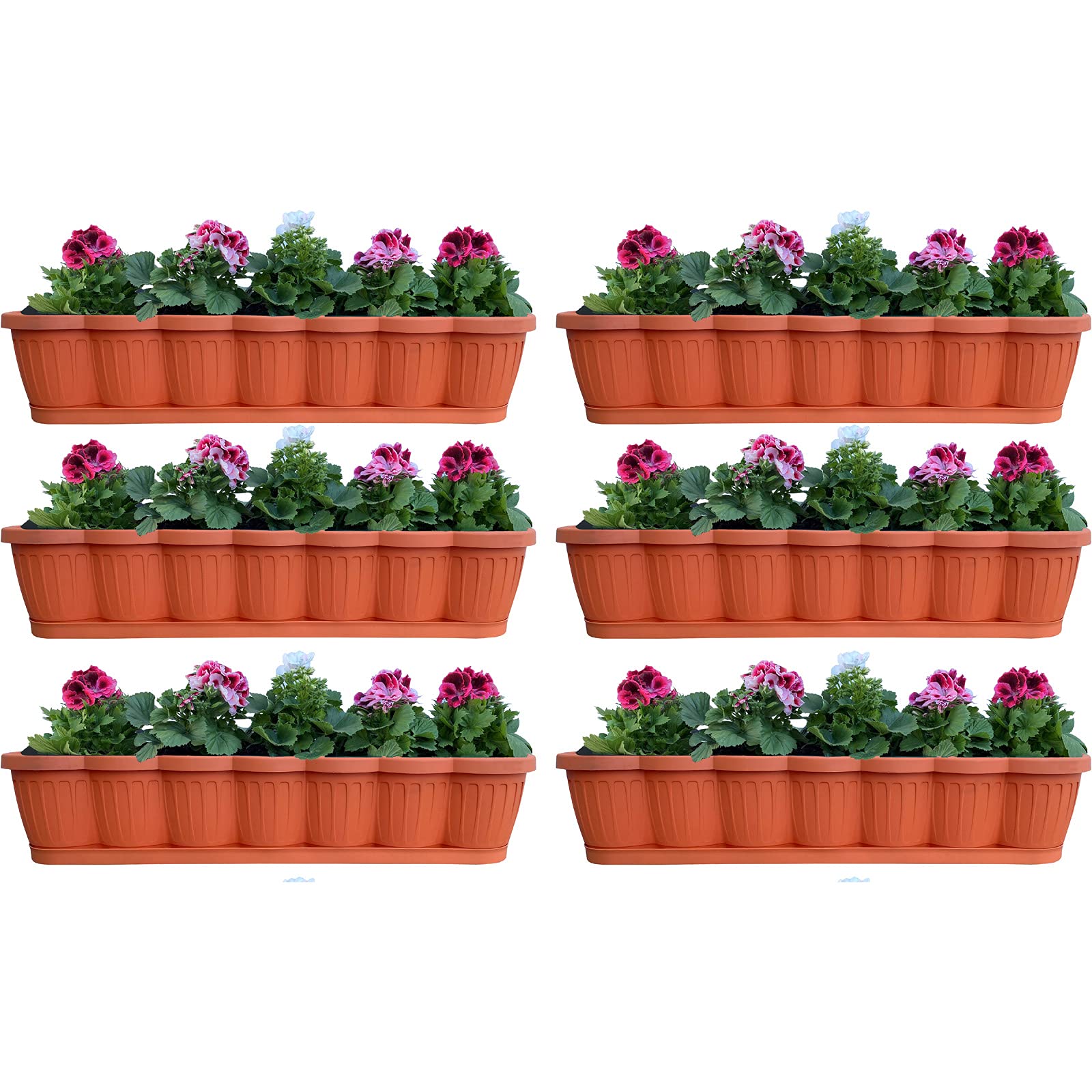 Hossi's Wholesale 6er Set Blumenkasten 80cm, Balkonkasten mit  Wasserspeicher, Pflanzkasten Terracotta im Wellendesign mit passendem  Bewsserungsuntersetzer: Amazon.de: Garten