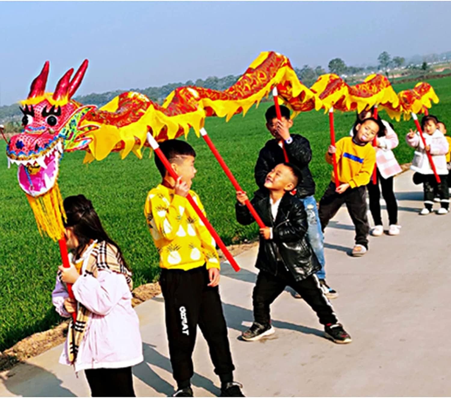 Ruban de danse Dragon en soie pour spectacles et défilés