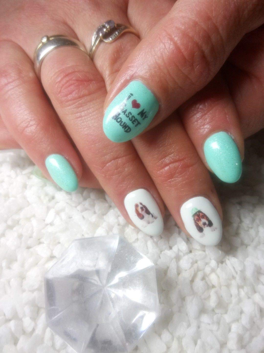 Amazon.com: Basset Hound Dog Water Nail Art Transfers Stickers Decals - Set  of 39 - A1117 : Beauty & Personal Care