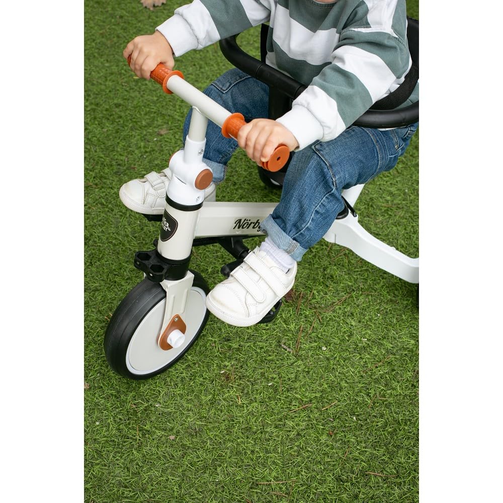 Interbaby Norby: 5 in 1 Dreirad und Laufrad mit Verdeck, 1 bis 5 Jahre