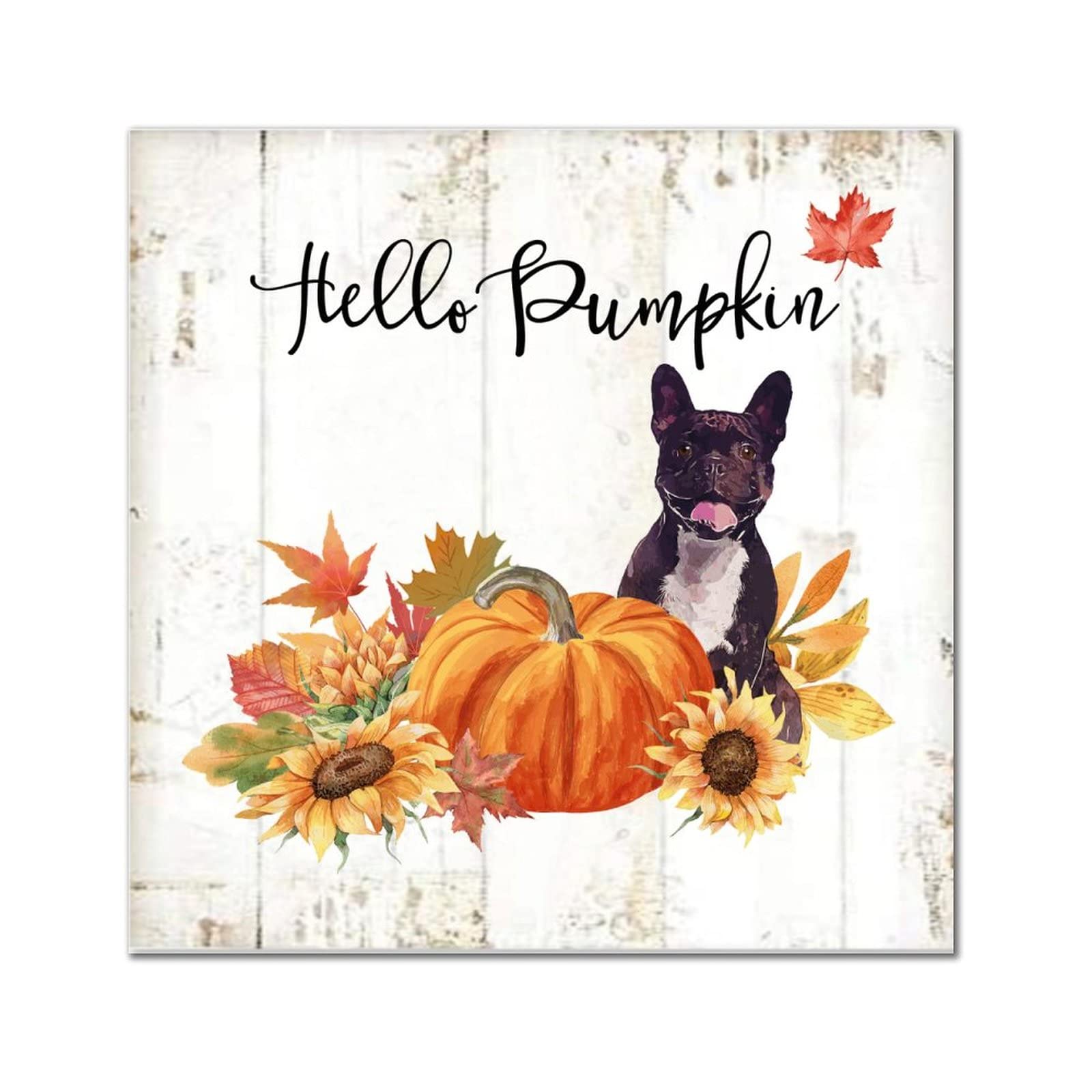 Plaque en bois Hello Pumpkin Basset Hound pour décorer votre cuisine cet automne