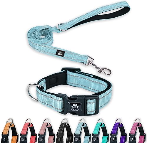 FURRYFECTION Juego de collar y correa reflectante para perro con hebilla de liberación rápida, acolchado con collar de nailon ajustable de neopreno